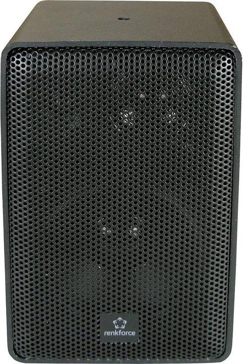 Actual product image Renkforce RL100W (1 pair, 100 W)