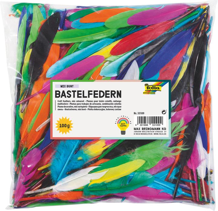 Actual product image Folia Indian feathers, 100 g, assorted colours