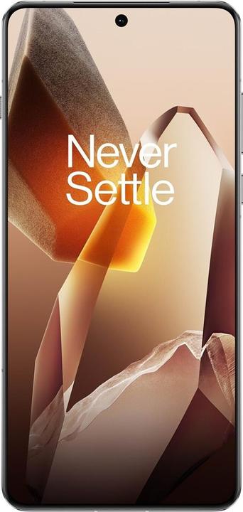Produktbild OnePlus 13 (512 GB, Arctic Dawn, 6.82", Dual SIM, 5G)