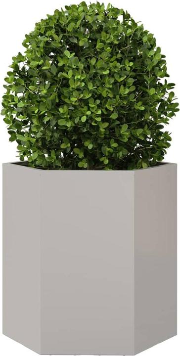Produktbild vidaXL Pflanzkübel