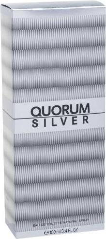 Produktbild Antonio Puig Quorum Silver (Eau de Toilette, 100 ml)