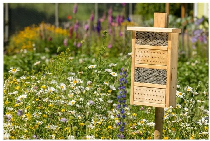 Image du produit Neudorff Joie des jardiniers sauvages (Abeilles sauvages)