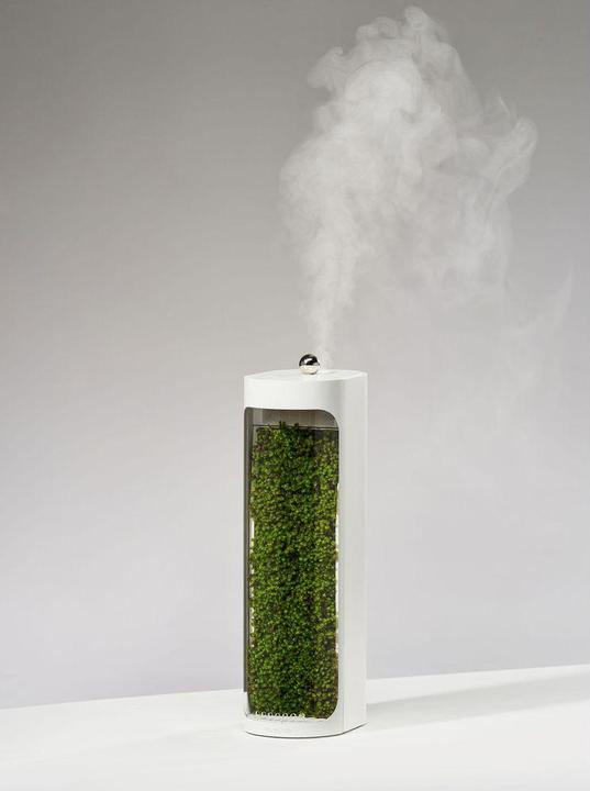 Actual product image Mosslab Air Humidifier Moss white
