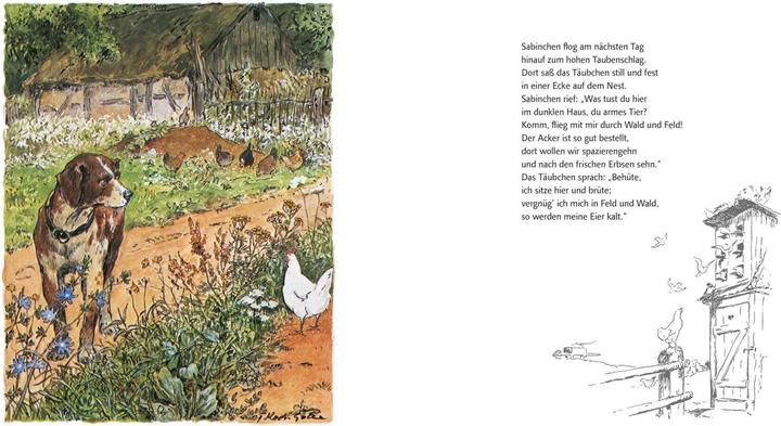 Produktbild Das Hühnchen Sabinchen (Deutsch, Marianne Speisebecher, 2016)