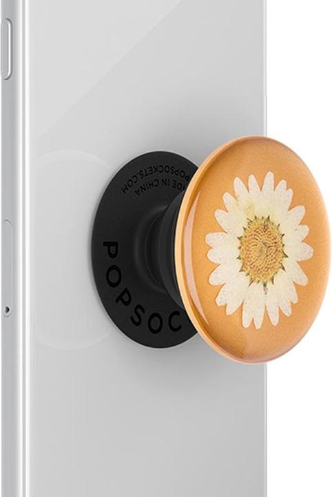 Actual product image PopSockets Pressed Flower Daisy