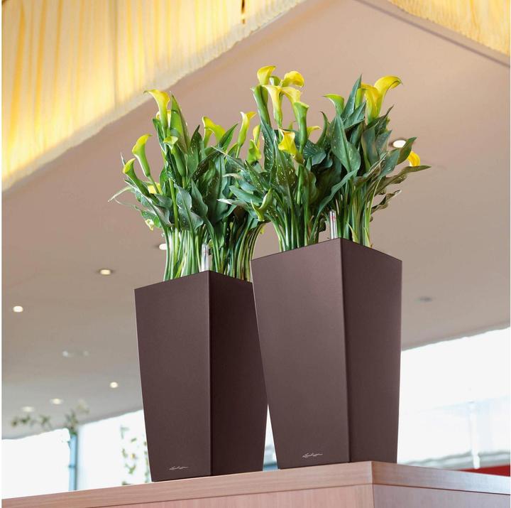 Actual product image Lechuza Planter Cubico Premium 22 Brown (22 cm)
