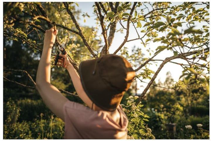 Actual product image Fiskars Plus PowerLever Bypass Secateurs P721