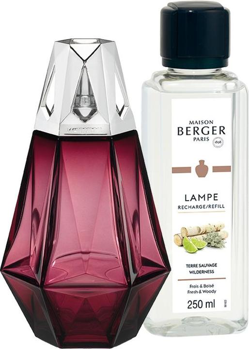 Image du produit Maison Berger Diffuseur de parfum Prisme 250 ml Terre Sauvage (250 ml)