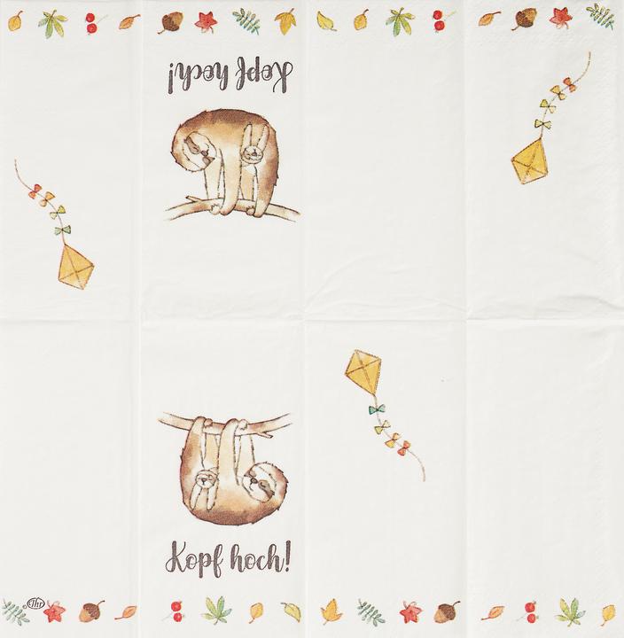 Produktbild IHR Taschentuch Kopf