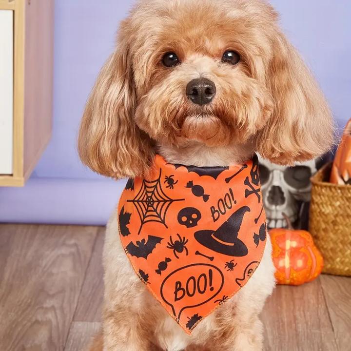 Image du produit Suba Bandanas d’Halloween pour Chiens (S, Bandana pour chien)