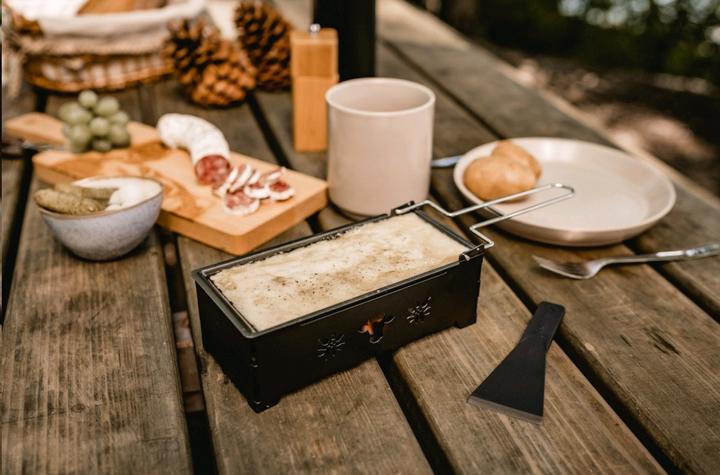 Actual product image Kadastar 2go Moo