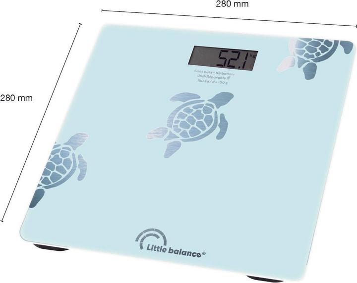 Actual product image Little Balance 8730 (180 kg)