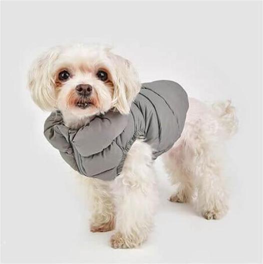 Puppia Ultralight Vest A Red S buy at Galaxus