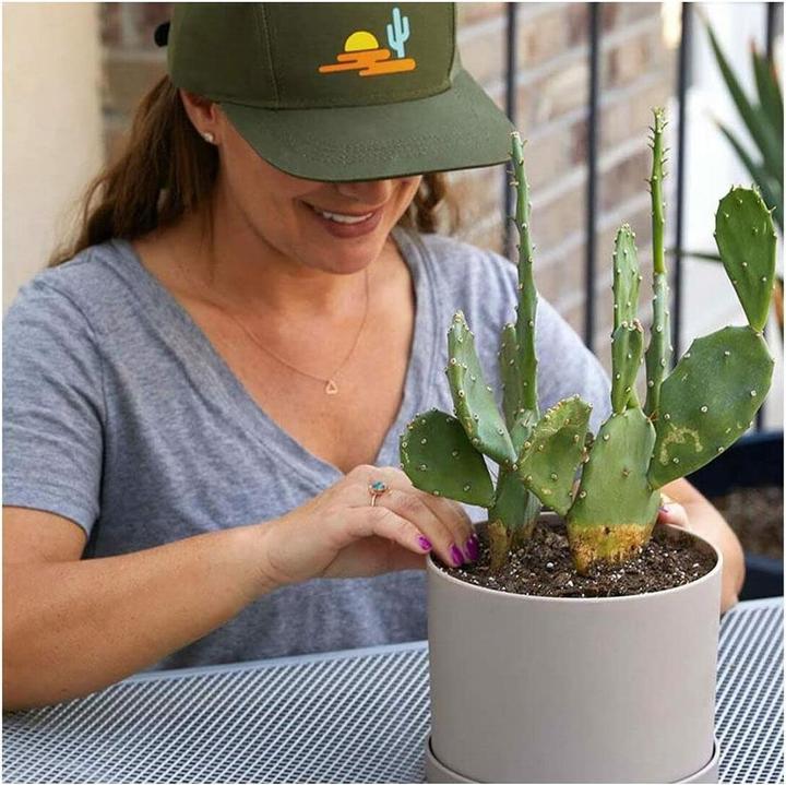 Actual product image Cricut Transfer Press Hat Press