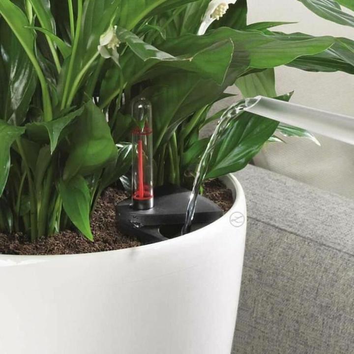 Immagine prodotto Lechuza Colore Classico (42 cm)