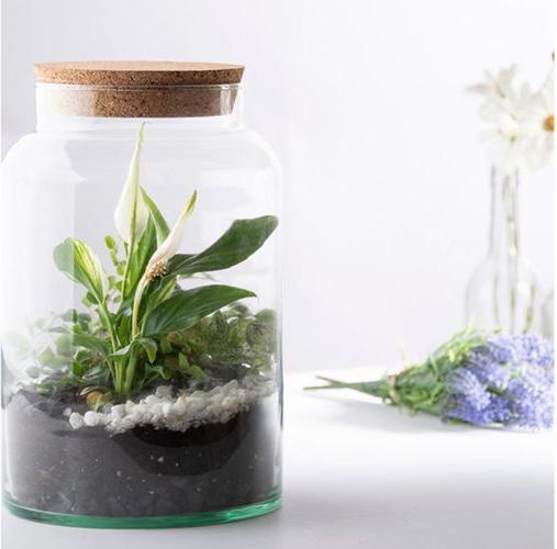 Actual product image Esschert Design Terrarium Bottle M, 18.5 x 32.5 cm