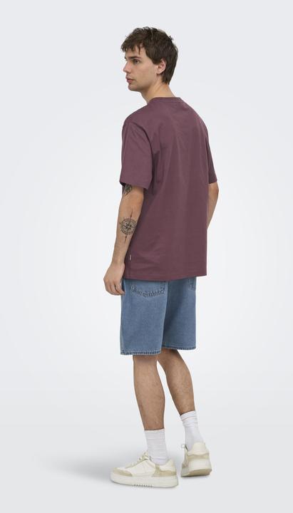 Produktbild Only & Sons Onsfred Life Rlx Ss Tee Noos (S)