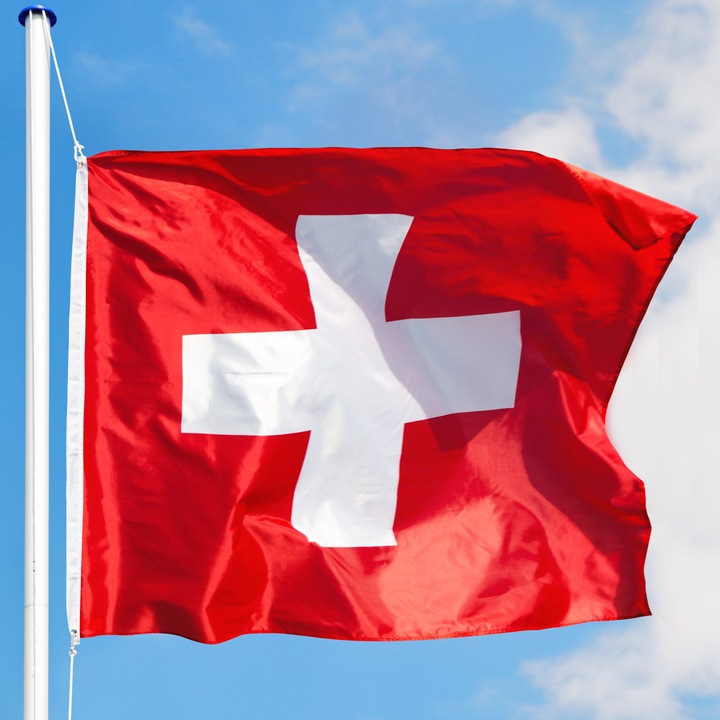 Actual product image tectake Flagpole