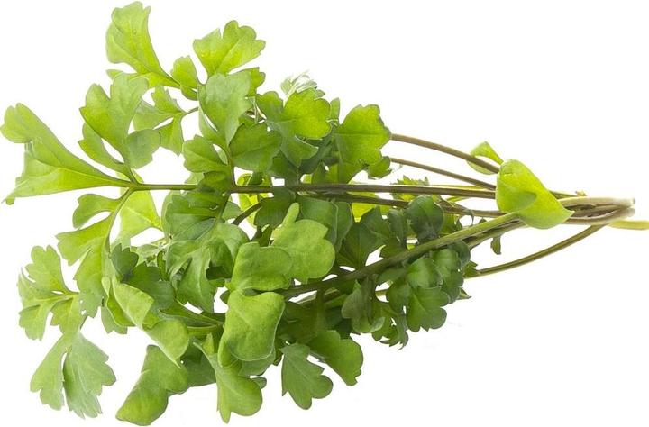 Produktbild Click and Grow Kresse (Gemüsesamen)