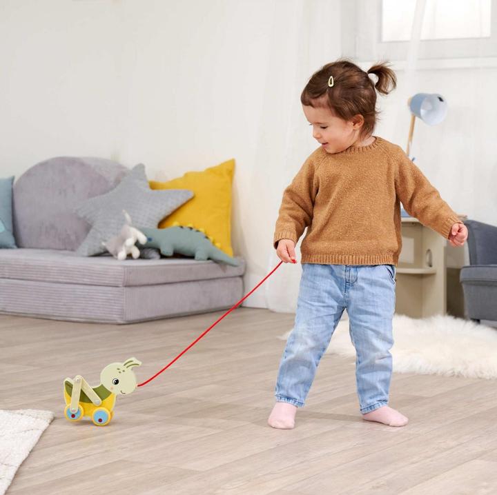 Actual product image Eichhorn EH pull-along grasshopper