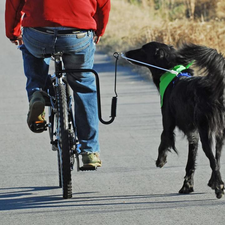 Produktbild Scout (Hund, Fahrrad)