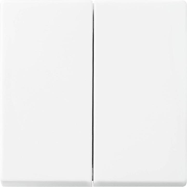 Busch-Jaeger 1731-0-2005 Switch plate & socket cover (1731-0-2005)