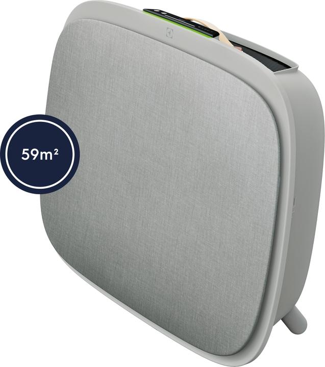 Electrolux WA71-305GY (59 m²)