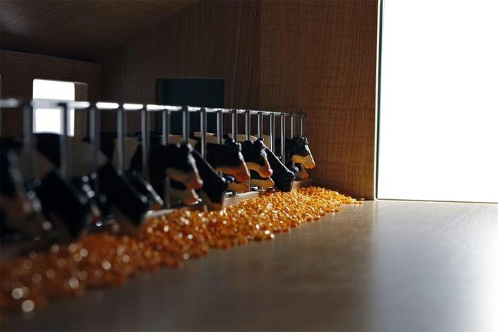 Produktbild Sombo Kinderkugel Loopstal Wood 1:33