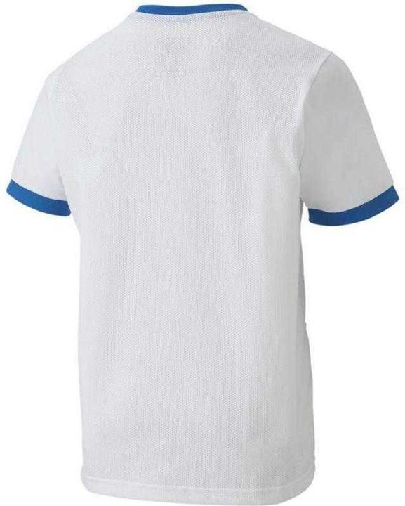 Produktbild Puma TeamGoal TShirt (140)
