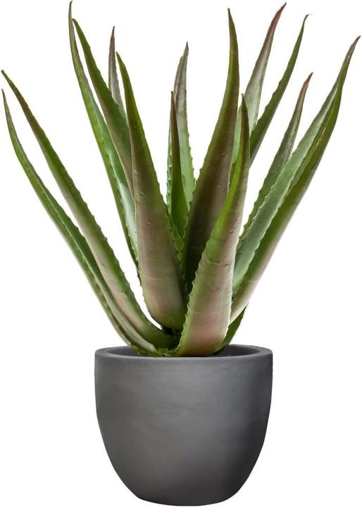 Productafbeelding Emerald Kunstmatige plant (10 cm)