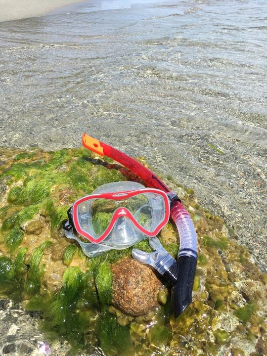 Image du produit Schildkröt Kit de plongée FIJI en 2 parties