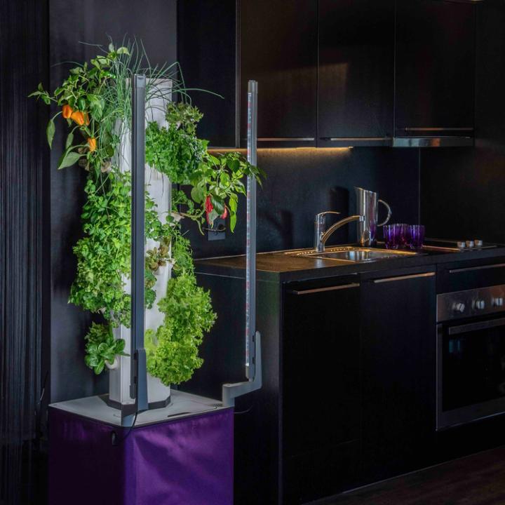 Immagine prodotto FARMii Plus Set