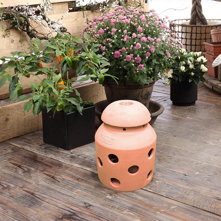 Produktbild Bio Green Firefly