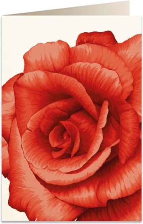 Produktbild Tassotti B6 Karte + Umschlag 5676 Rote Rose (1 Stk.)