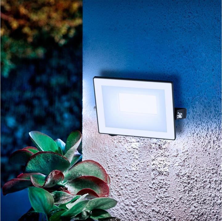 Actual product image Philips Outdoor Flutlicht Lois (2050 lm, IP65)