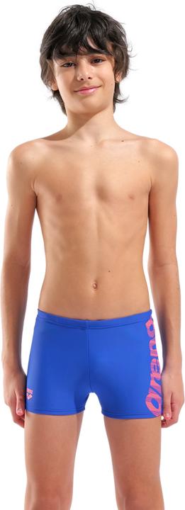 Actual product image Arena B Graphic Swim Short (128)
