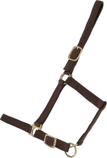 Image du produit TdeT Licol pour cheval doublé suédine