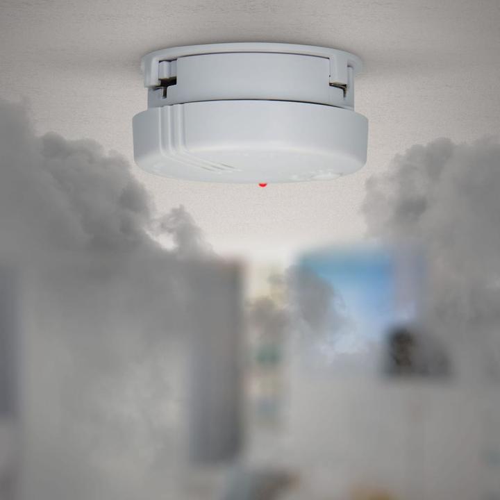 Actual product image Alecto Smoke detector