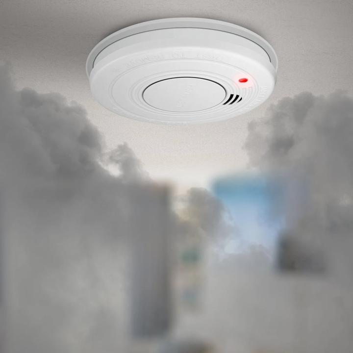 Actual product image Alecto Smoke detector