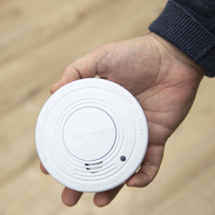 Actual product image Alecto Smoke detector