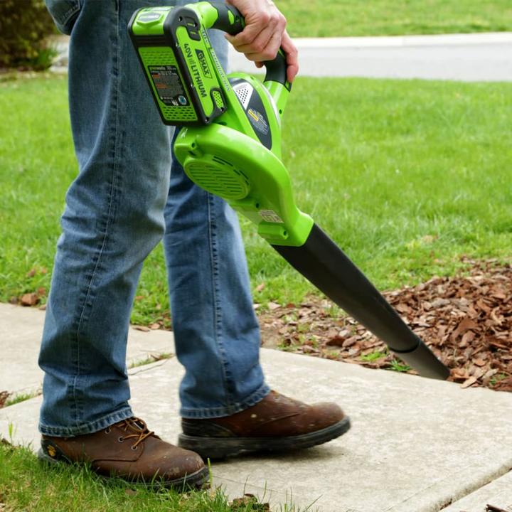 Actual product image Greenworks Aspirateur de pelouse (Rechargeable battery operated, Leaf blower)