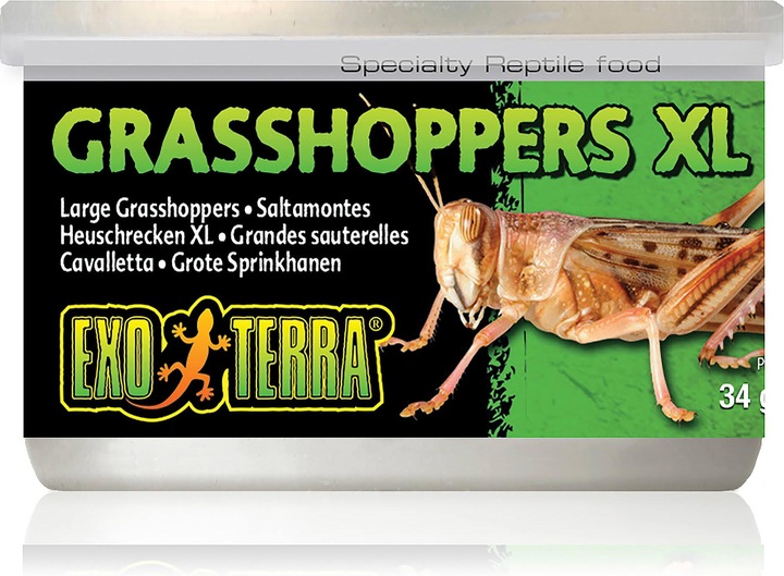 Immagine prodotto Exo Terra Cibo per rettili Cavallette 34g (1 x, 0.03 kg)
