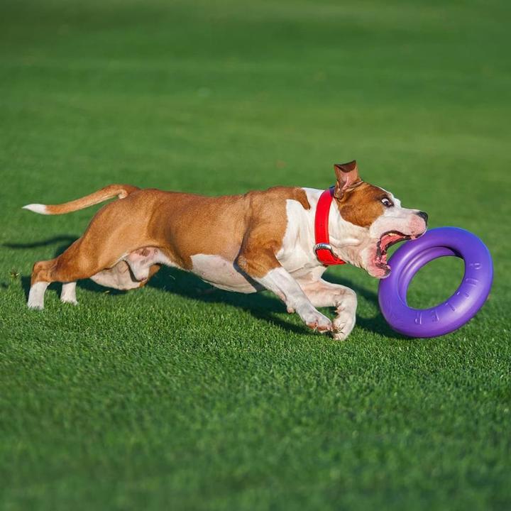 Immagine prodotto Ferplast Giocattoli per cani