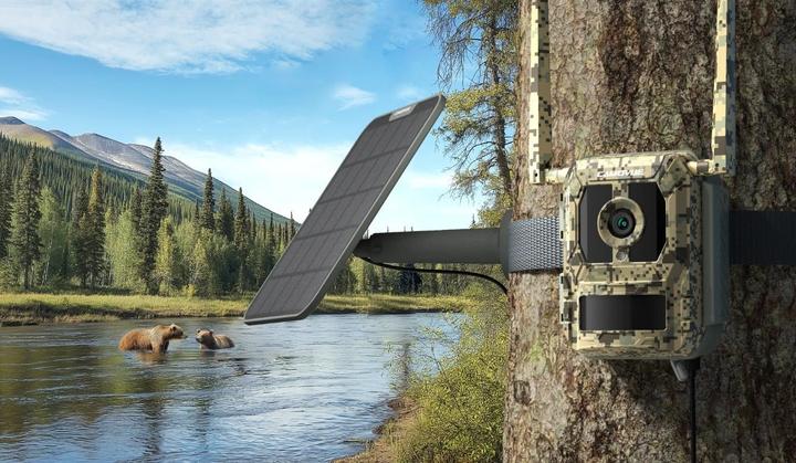 Actual product image Reolink Webcam Camovue Talon S130 4G LTE Trail Camera (8 Mpx)