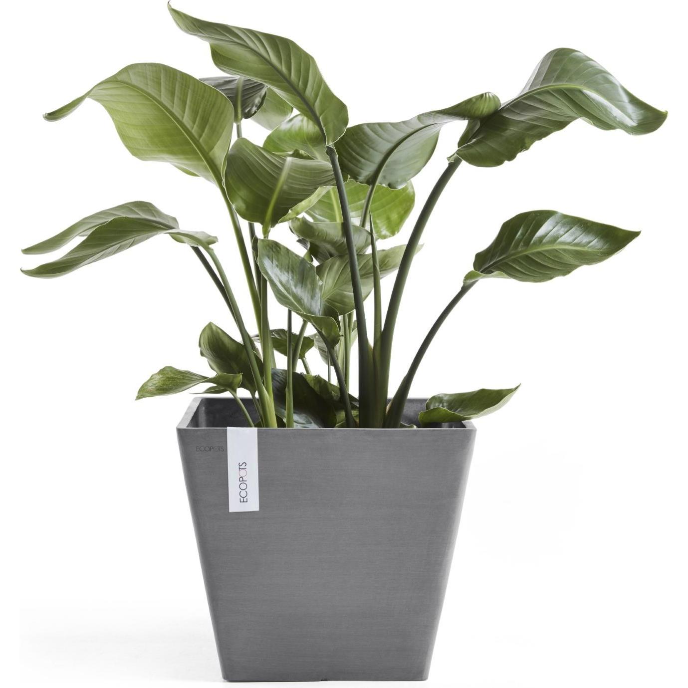 Thumbnail - Ecopots, Blumentopf, Rotterdam (40 cm)