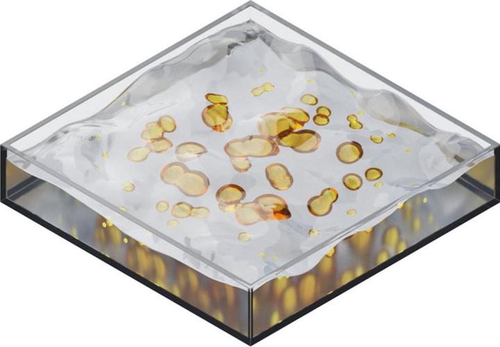 Produktbild Bosch Professional Zubehör PRO Multi Material Fibrous and Liquid Rührkorb, 120 mm (Rührstab)