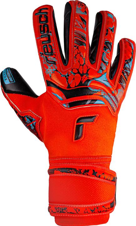 Actual product image Reusch Gold X Attract