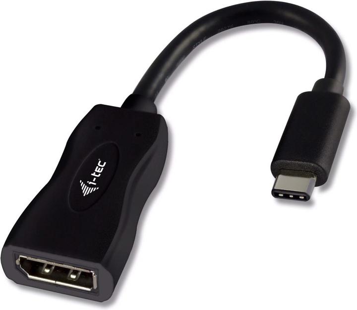Actual product image i-tec USB-C to (DP, 15 cm)