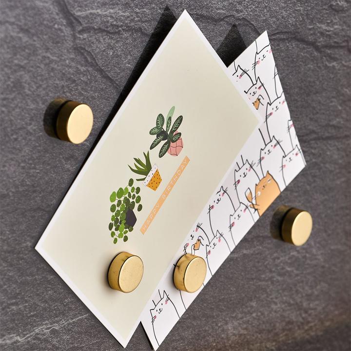 Image du produit Zeller Present Aimant (4 x)