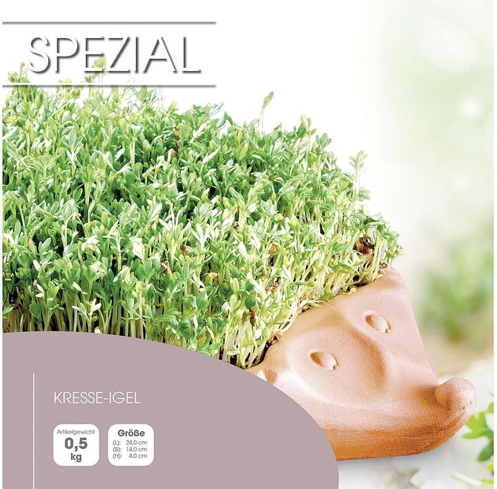 Productafbeelding Römertopf Tuinkers egel